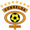 https://img.zhizhuzhibot.com.cn/img/football/team/dfef59103668b52788e357e8ac07e9ef.png
